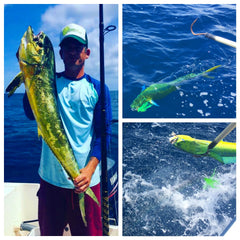 Mahi Candy