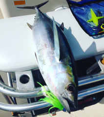 Mahi Candy