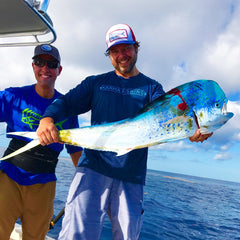 florida mahi