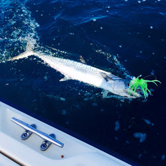 Mahi Candy